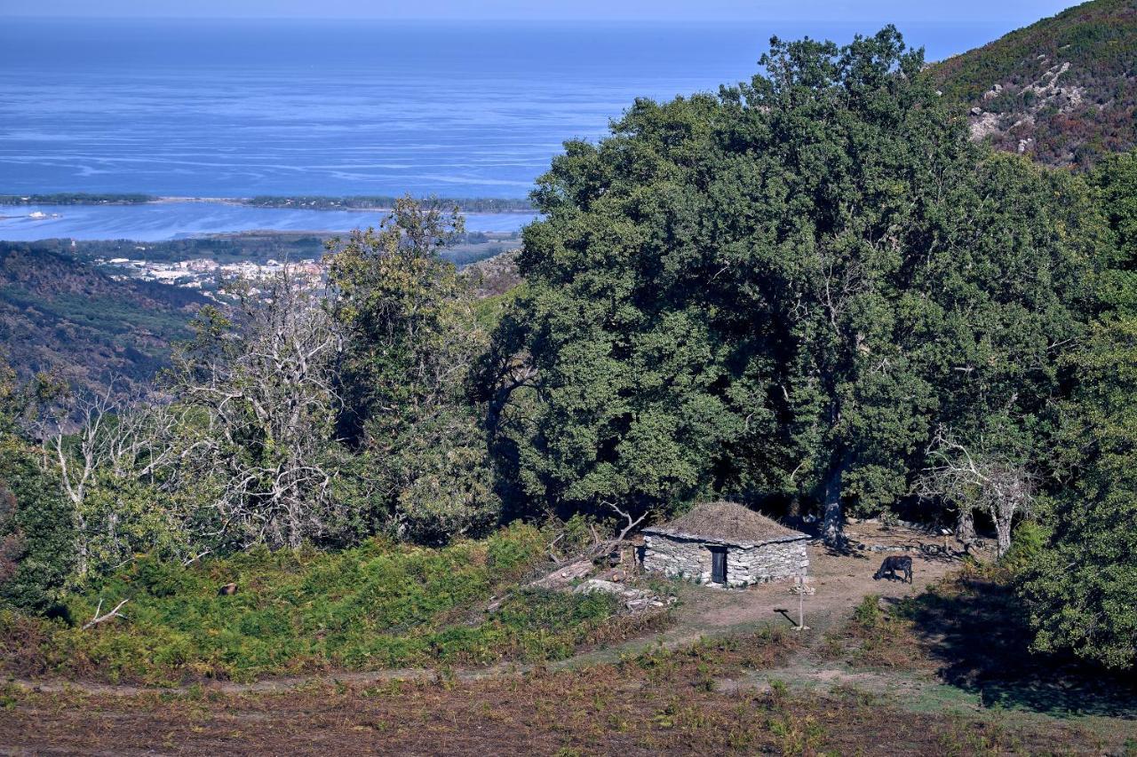 A Villa Di Rutali 外观 照片